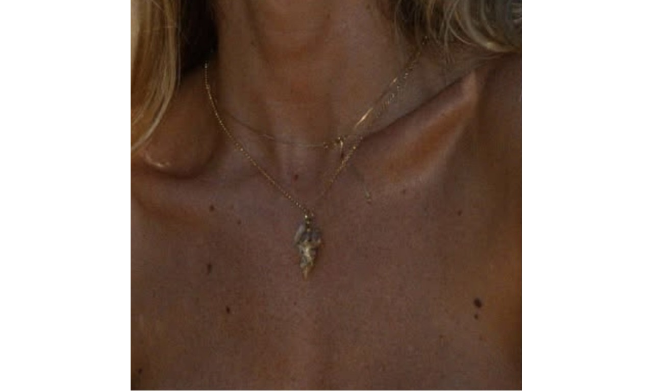 Colar Búzio Natural Banho de Ouro 18k.