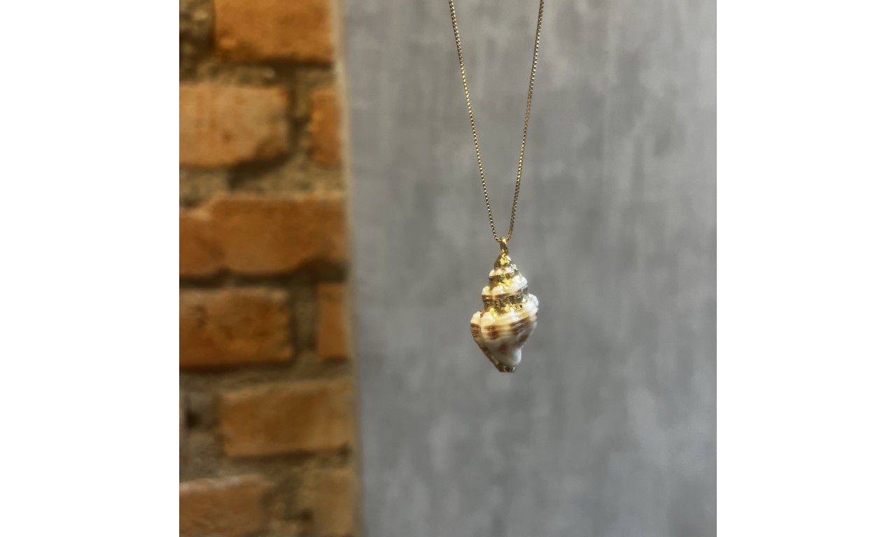 Colar Búzio Natural Banho de Ouro 18k.
